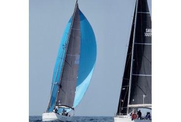 Regata Ophiusa (26/4 - 1/5)