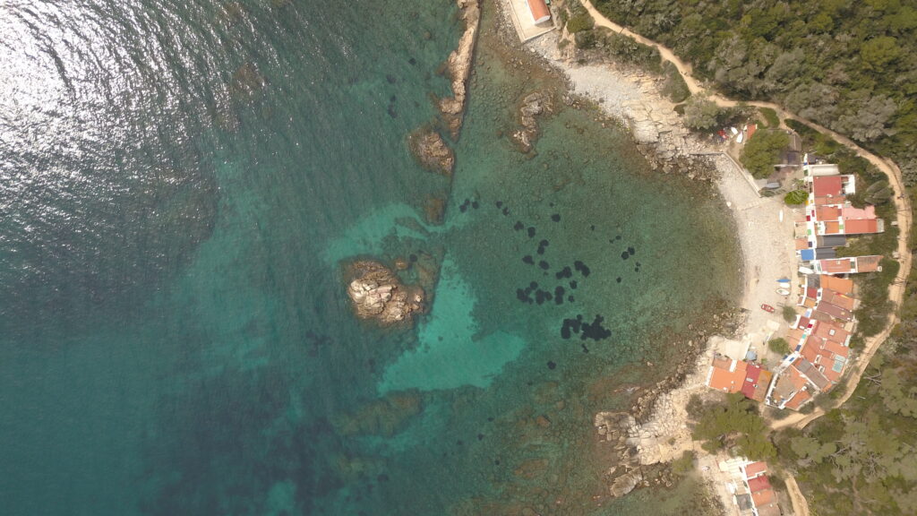 Ruta en barco familiar por Cala S’Alguer – Custom Sailing Costa Brava